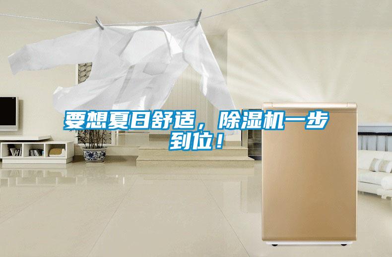 要想夏日舒適，除濕機一步到位！