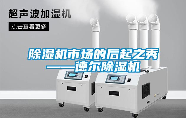 除濕機(jī)市場(chǎng)的后起之秀——德?tīng)柍凉駲C(jī)