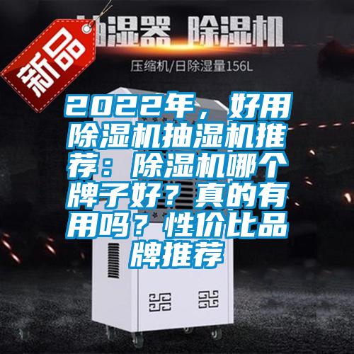 2022年，好用除濕機(jī)抽濕機(jī)推薦：除濕機(jī)哪個(gè)牌子好？真的有用嗎？性價(jià)比品牌推薦
