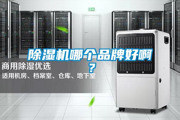 除濕機(jī)哪個品牌好啊?