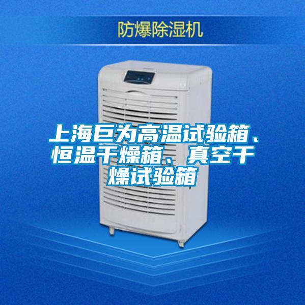 上海巨為高溫試驗(yàn)箱、恒溫干燥箱、真空干燥試驗(yàn)箱