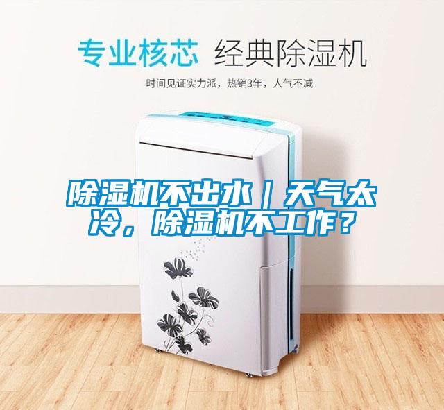 除濕機不出水｜天氣太冷，除濕機不工作？