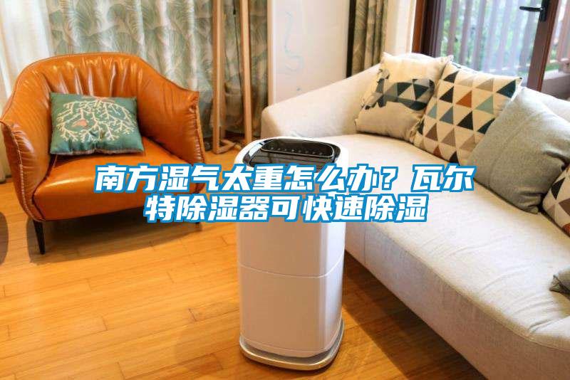 南方濕氣太重怎么辦？瓦爾特除濕器可快速除濕
