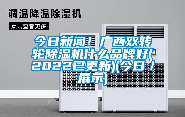 今日新聞！廣西雙轉(zhuǎn)輪除濕機(jī)什么品牌好(2022已更新)(今日／展示)
