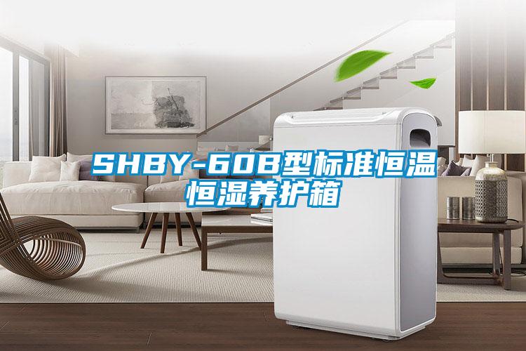 SHBY-60B型標(biāo)準(zhǔn)恒溫恒濕養(yǎng)護箱