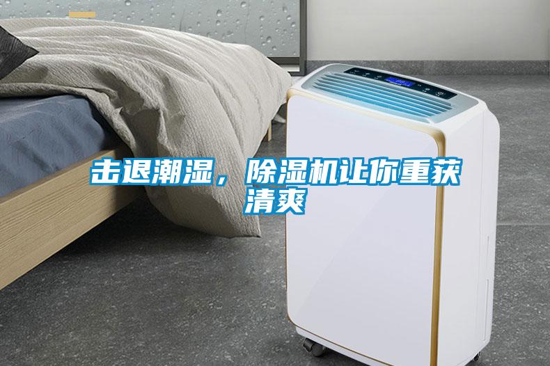 擊退潮濕，除濕機讓你重獲清爽
