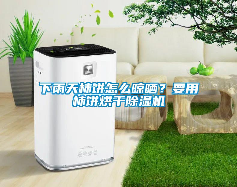 下雨天柿餅怎么晾曬？要用柿餅烘干除濕機