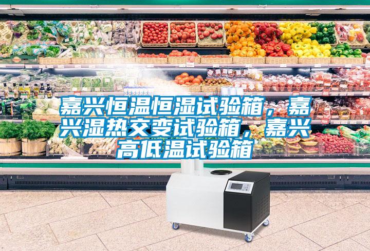 嘉興恒溫恒濕試驗(yàn)箱，嘉興濕熱交變?cè)囼?yàn)箱，嘉興高低溫試驗(yàn)箱