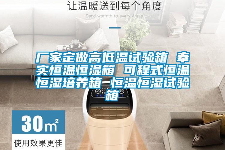 廠(chǎng)家定做高低溫試驗(yàn)箱 奉實(shí)恒溫恒濕箱 可程式恒溫恒濕培養(yǎng)箱 恒溫恒濕試驗(yàn)箱