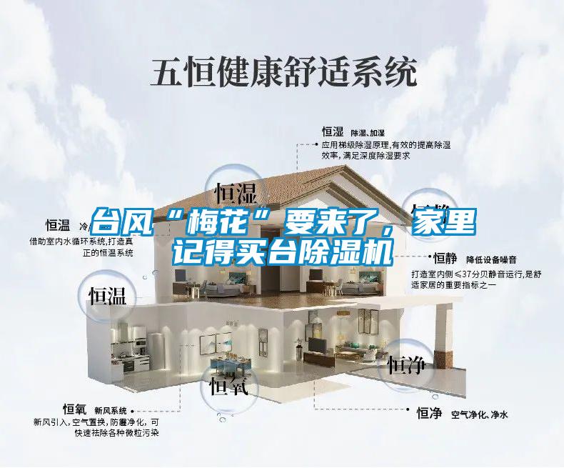 臺(tái)風(fēng)“梅花”要來了，家里記得買臺(tái)除濕機(jī)