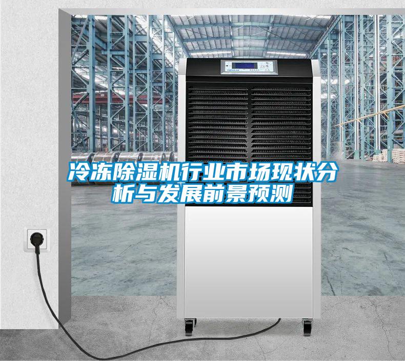 冷凍除濕機行業(yè)市場現(xiàn)狀分析與發(fā)展前景預(yù)測