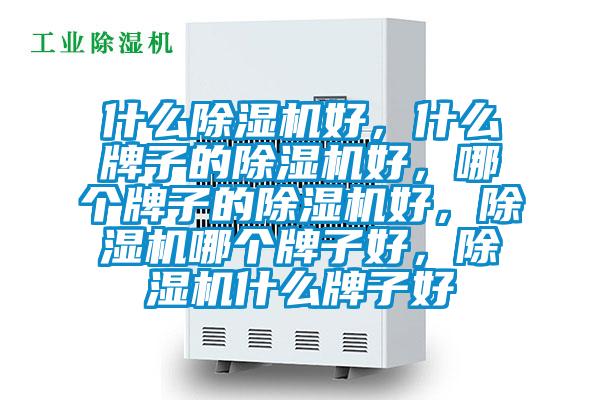 什么除濕機好，什么牌子的除濕機好，哪個牌子的除濕機好，除濕機哪個牌子好，除濕機什么牌子好