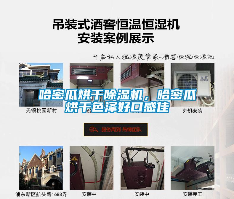 哈密瓜烘干除濕機(jī)，哈密瓜烘干色澤好口感佳