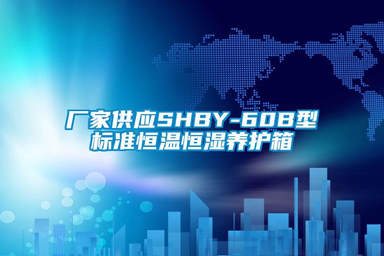 廠(chǎng)家供應(yīng)SHBY-60B型標(biāo)準(zhǔn)恒溫恒濕養(yǎng)護(hù)箱