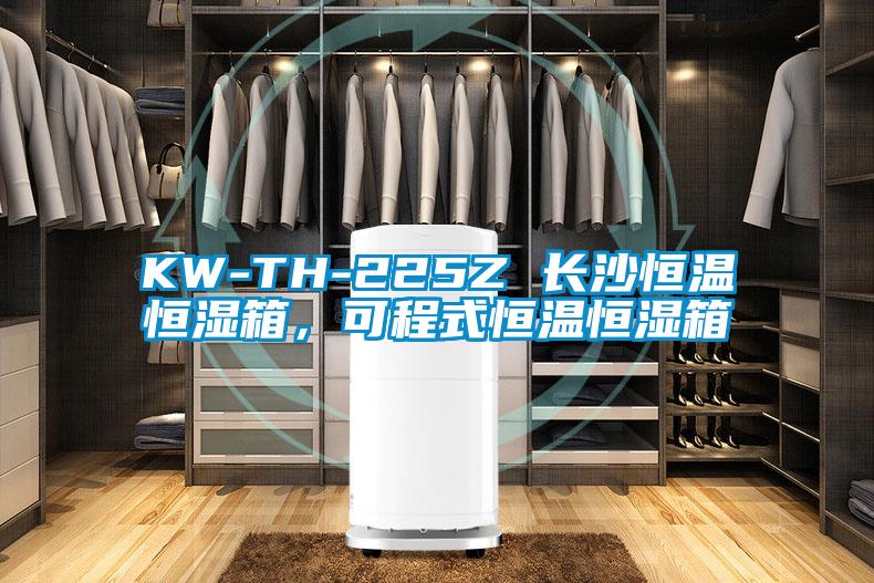 KW-TH-225Z 長沙恒溫恒濕箱，可程式恒溫恒濕箱