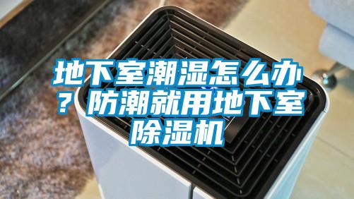 地下室潮濕怎么辦？防潮就用地下室除濕機(jī)