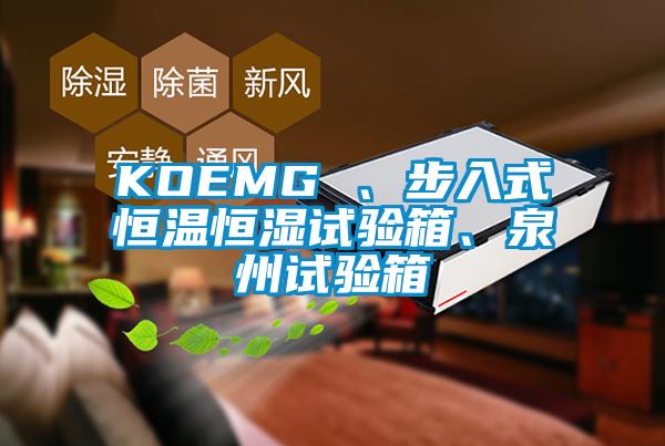 KOEMG 、步入式恒溫恒濕試驗箱、泉州試驗箱