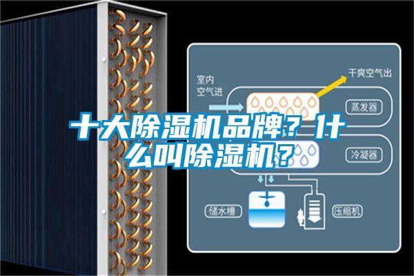 十大除濕機品牌？什么叫除濕機？
