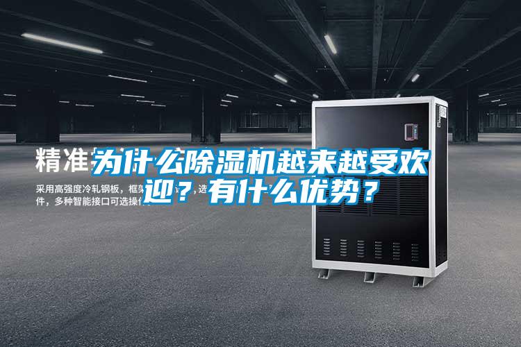為什么除濕機(jī)越來(lái)越受歡迎？有什么優(yōu)勢(shì)？
