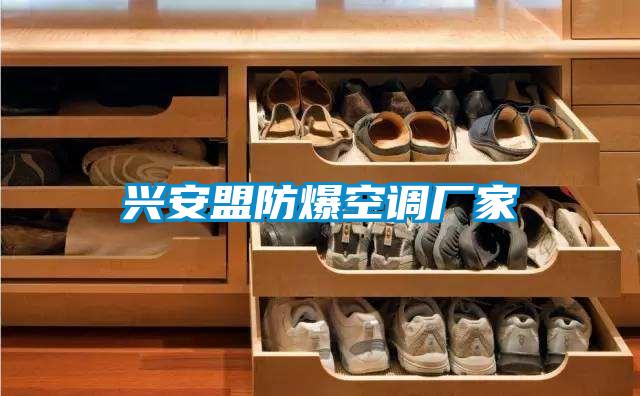 興安盟防爆空調(diào)廠(chǎng)家
