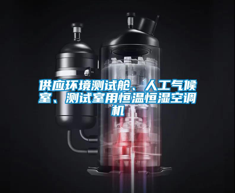 供應(yīng)環(huán)境測試艙、人工氣候室、測試室用恒溫恒濕空調(diào)機