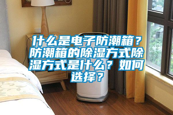 什么是電子防潮箱？防潮箱的除濕方式除濕方式是什么？如何選擇？
