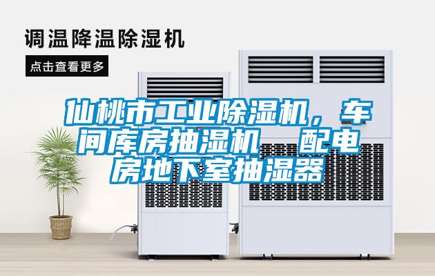 仙桃市工業(yè)除濕機(jī)，車間庫房抽濕機(jī)  配電房地下室抽濕器