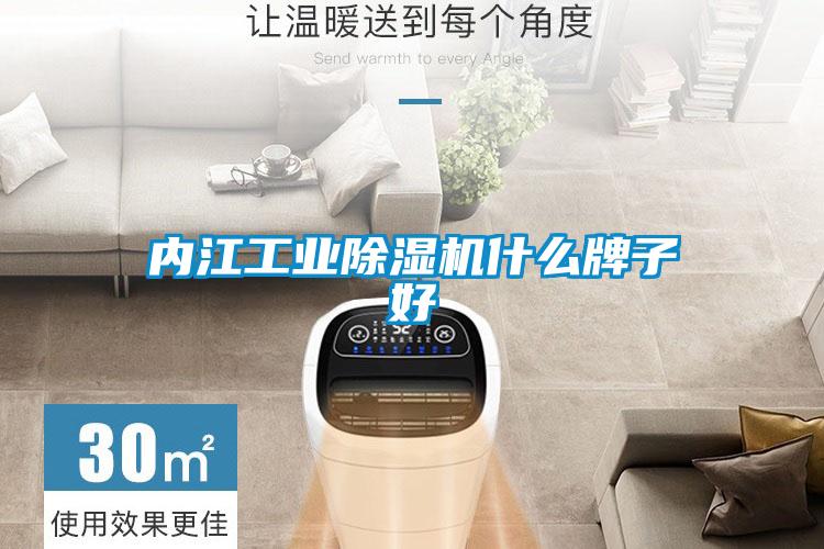 內(nèi)江工業(yè)除濕機(jī)什么牌子好