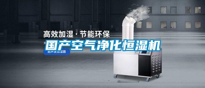 國產(chǎn)空氣凈化恒濕機