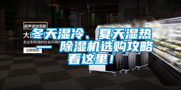 冬天濕冷、夏天濕熱 — 除濕機選購攻略看這里！