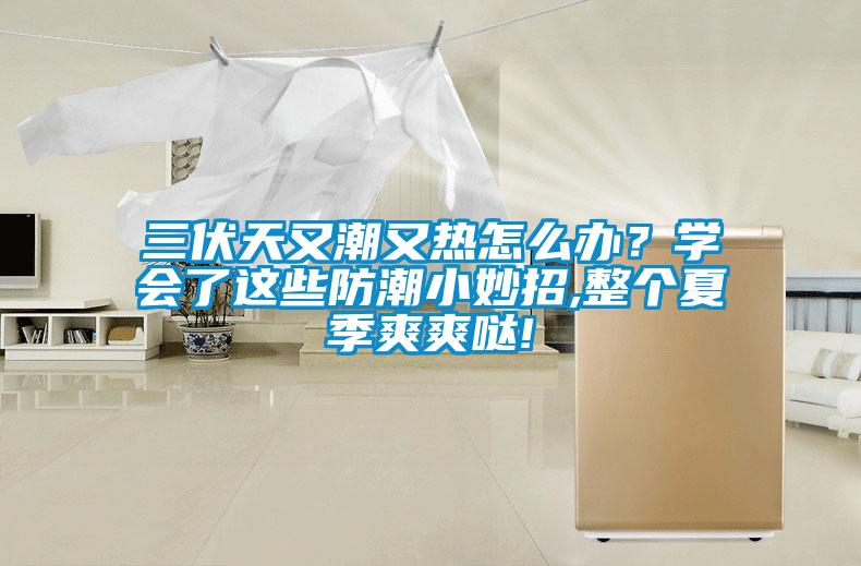 三伏天又潮又熱怎么辦？學(xué)會(huì)了這些防潮小妙招,整個(gè)夏季爽爽噠!