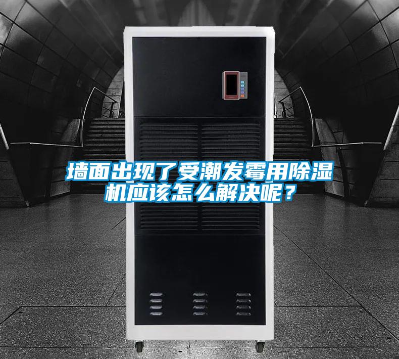 墻面出現(xiàn)了受潮發(fā)霉用除濕機(jī)應(yīng)該怎么解決呢？