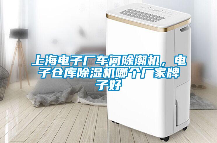 上海電子廠車間除潮機(jī)，電子倉(cāng)庫(kù)除濕機(jī)哪個(gè)廠家牌子好