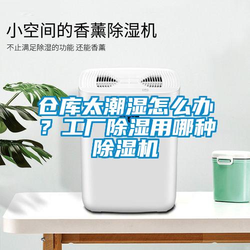 倉(cāng)庫(kù)太潮濕怎么辦？工廠除濕用哪種除濕機(jī)