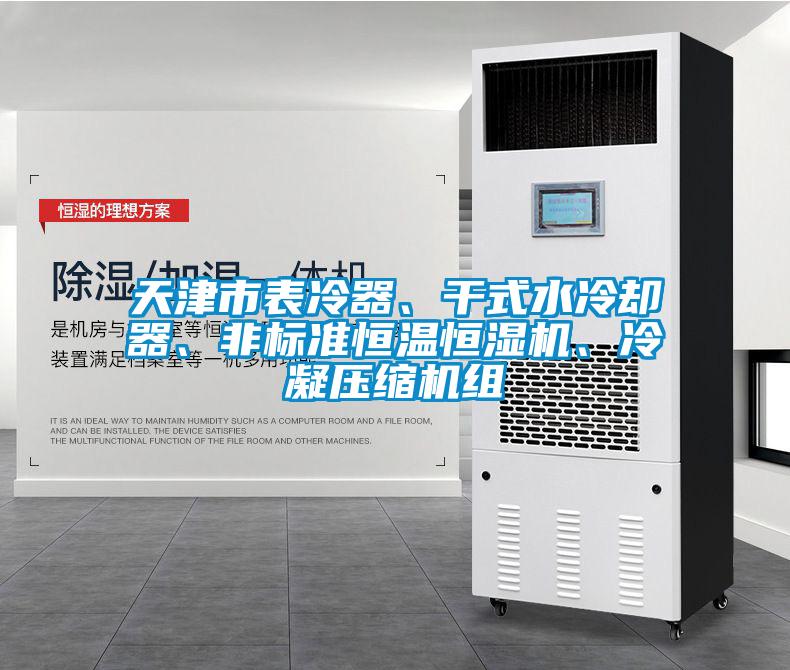 天津市表冷器、干式水冷卻器、非標(biāo)準(zhǔn)恒溫恒濕機(jī)、冷凝壓縮機(jī)組