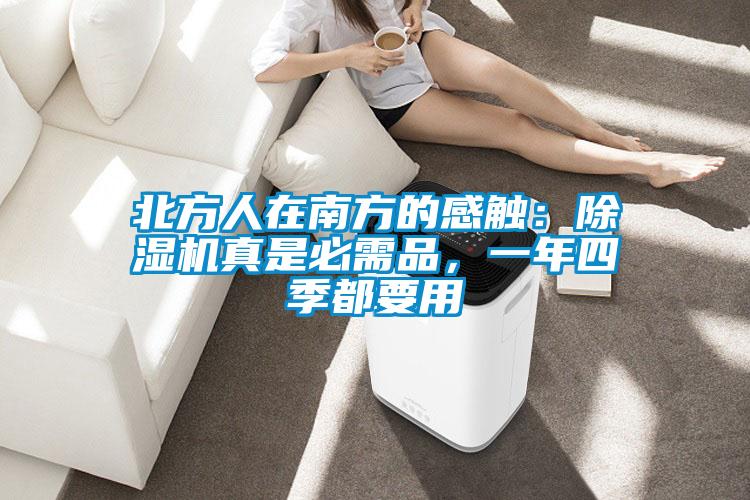 北方人在南方的感觸：除濕機(jī)真是必需品，一年四季都要用