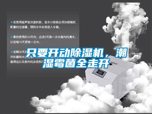 只要開動除濕機，潮濕霉菌全走開