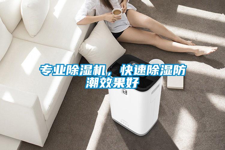 專業(yè)除濕機(jī)，快速除濕防潮效果好