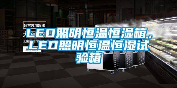 LED照明恒溫恒濕箱，LED照明恒溫恒濕試驗箱