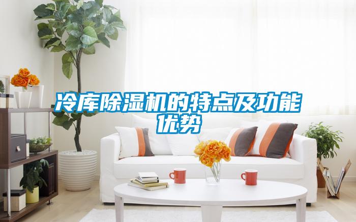 冷庫除濕機(jī)的特點(diǎn)及功能優(yōu)勢