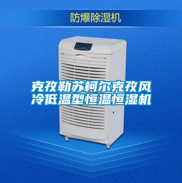 克孜勒蘇柯?tīng)柨俗物L(fēng)冷低溫型恒溫恒濕機(jī)