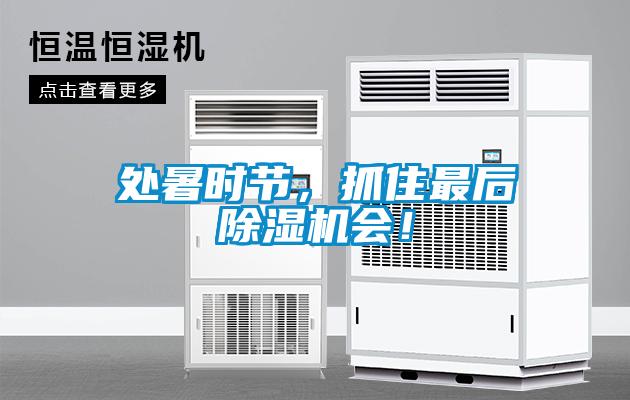 處暑時節(jié)，抓住最后除濕機會！