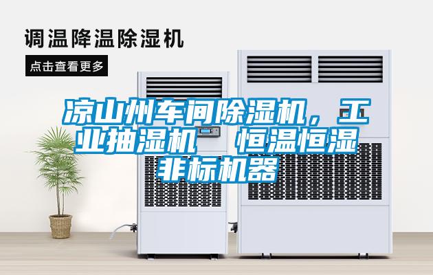 涼山州車間除濕機(jī)，工業(yè)抽濕機(jī)  恒溫恒濕非標(biāo)機(jī)器