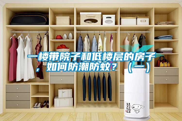 一樓帶院子和低樓層的房子，如何防潮防蚊？（一）