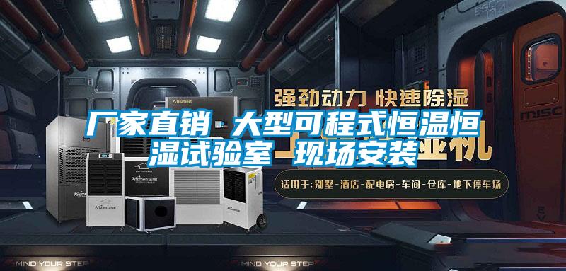 廠(chǎng)家直銷(xiāo) 大型可程式恒溫恒濕試驗(yàn)室 現(xiàn)場(chǎng)安裝