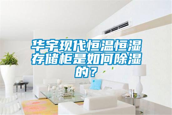 華宇現(xiàn)代恒溫恒濕存儲(chǔ)柜是如何除濕的？