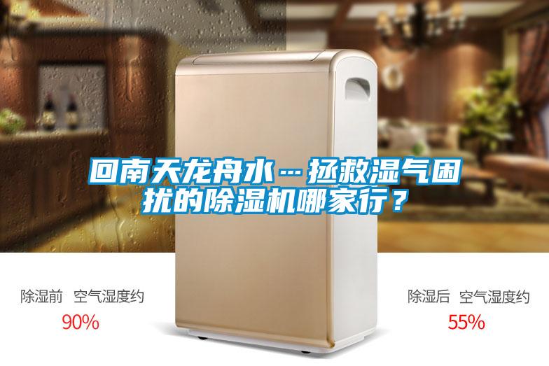 回南天龍舟水…拯救濕氣困擾的除濕機哪家行？