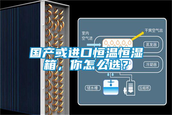 國產(chǎn)或進口恒溫恒濕箱，你怎么選？
