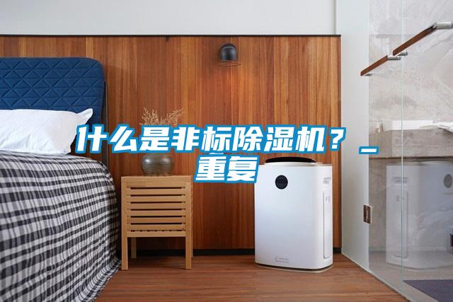 什么是非標(biāo)除濕機(jī)？_重復(fù)