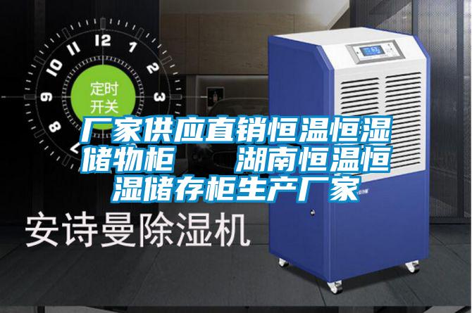 廠(chǎng)家供應(yīng)直銷(xiāo)恒溫恒濕儲(chǔ)物柜   湖南恒溫恒濕儲(chǔ)存柜生產(chǎn)廠(chǎng)家